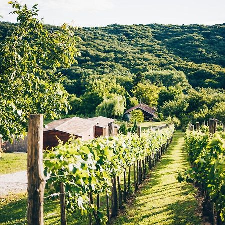 Bed and Breakfast Dutch Hill Залачань Экстерьер фото